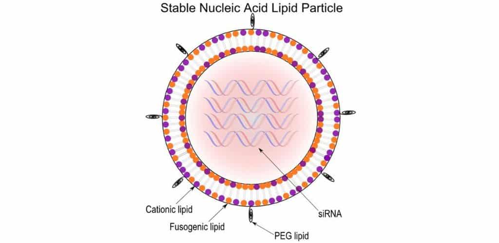 Explanation of stable nucleic acid lipid particle for AEON Patent Poetry