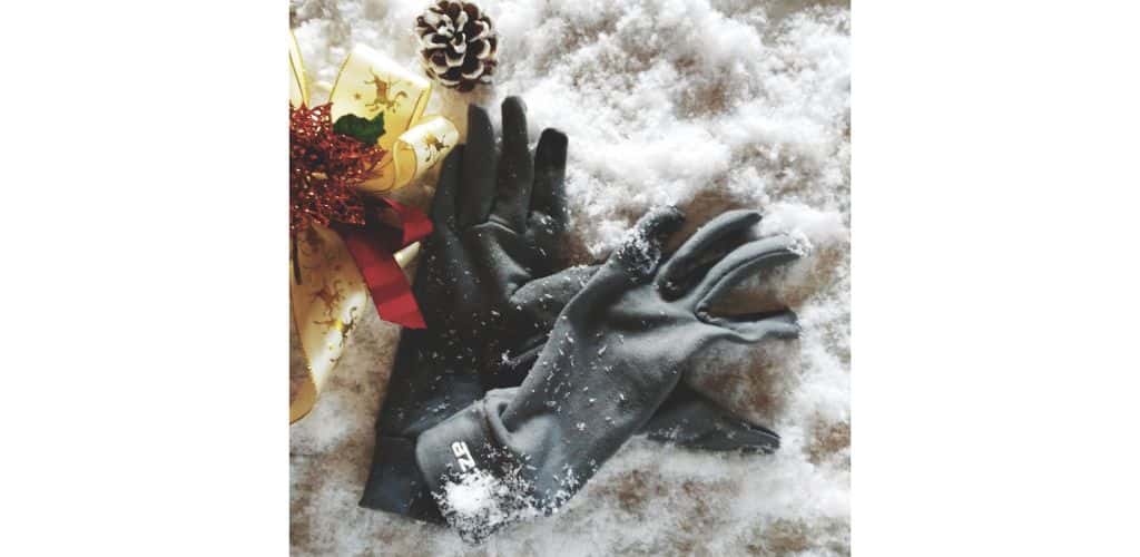 gloves in the snow